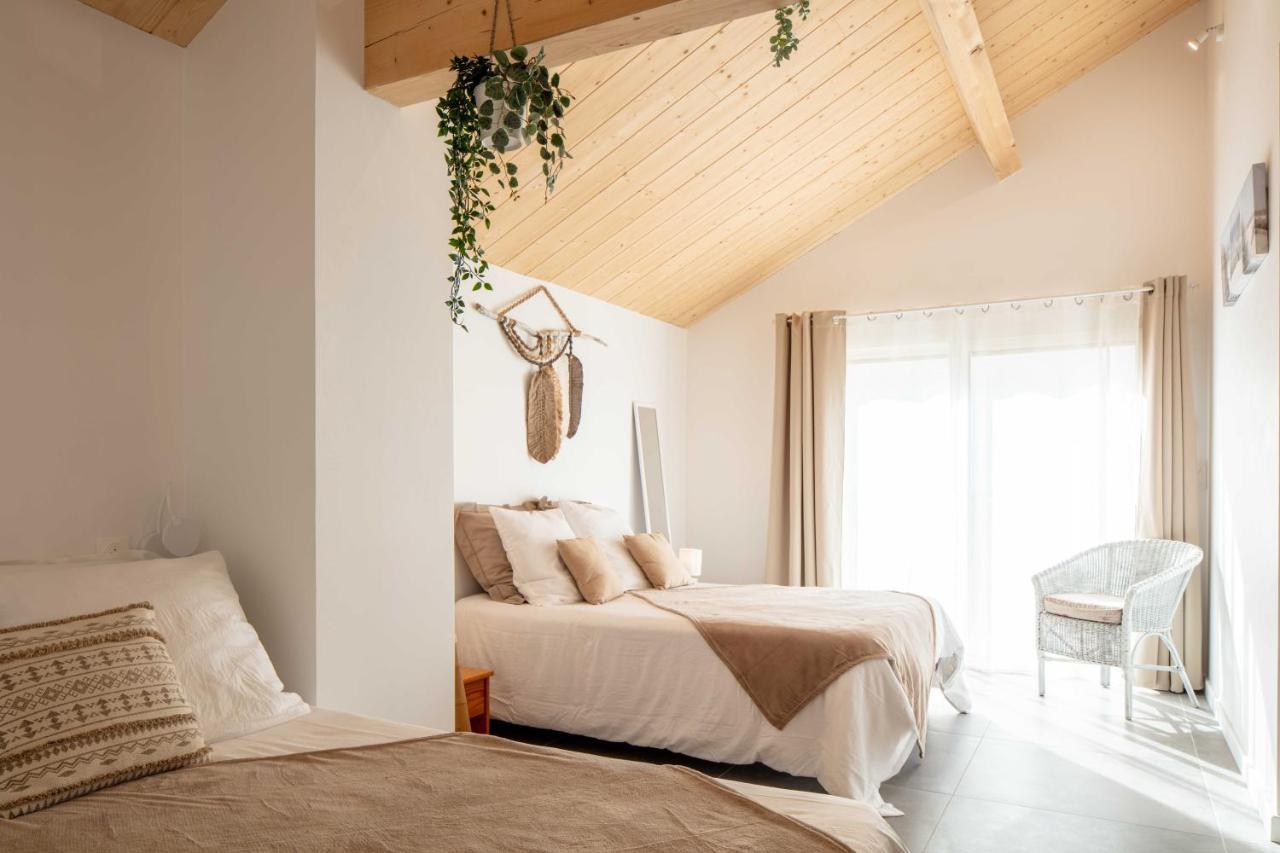 Bed and Breakfast Ted Surf House Capbreton Exteriér fotografie